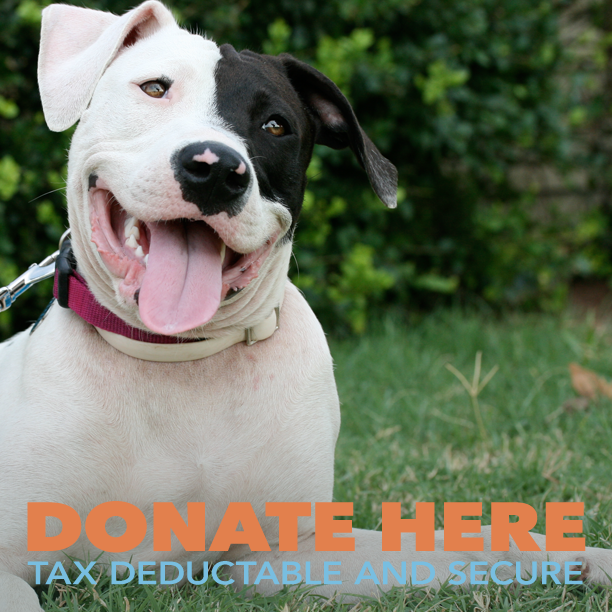 SPAR Saving Pets at Risk, Shawnee, OK